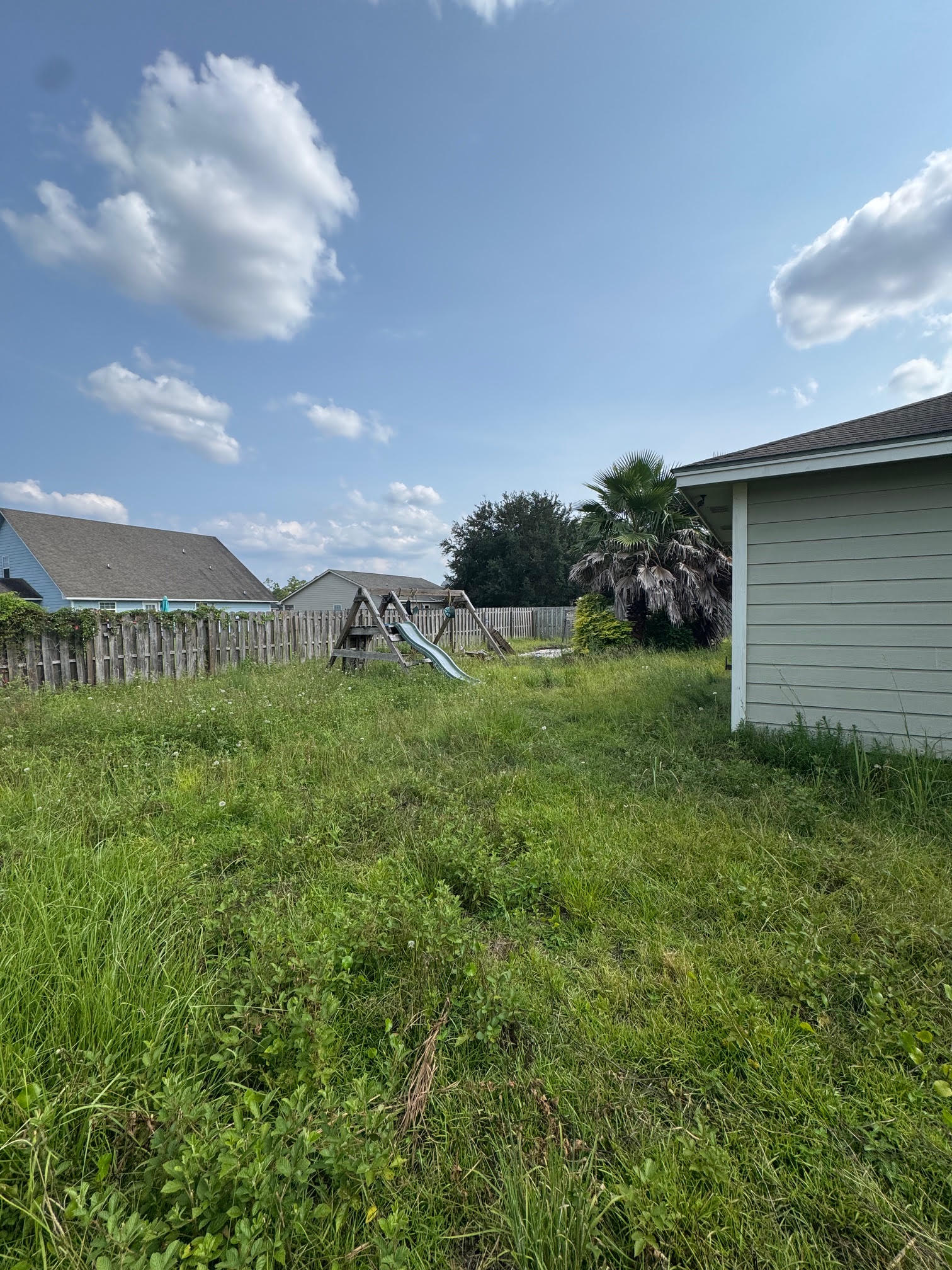 Overgrown backyard lawn around a playset before recovery work