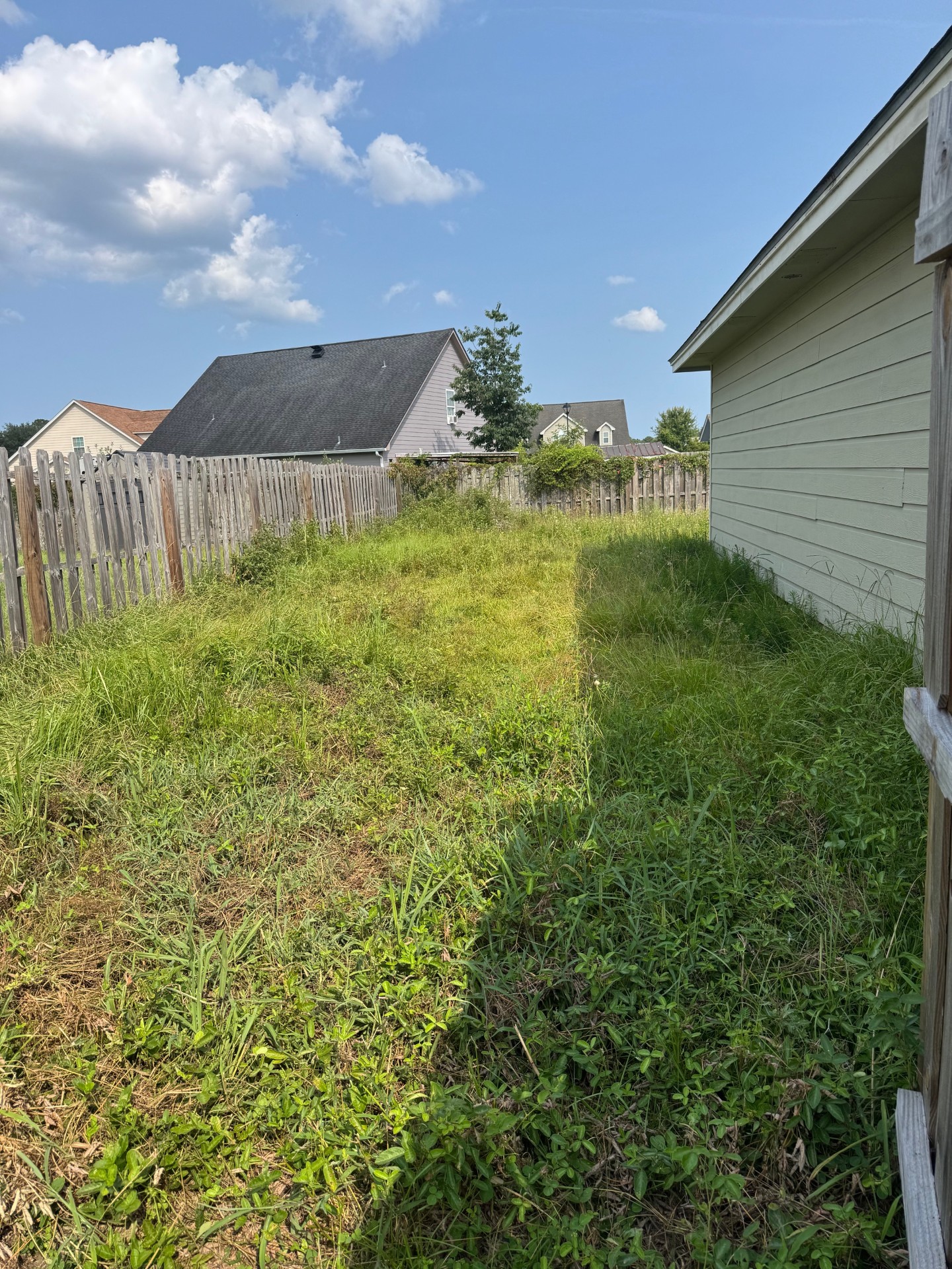 Overgrown side yard beside a home and fence before recovery work