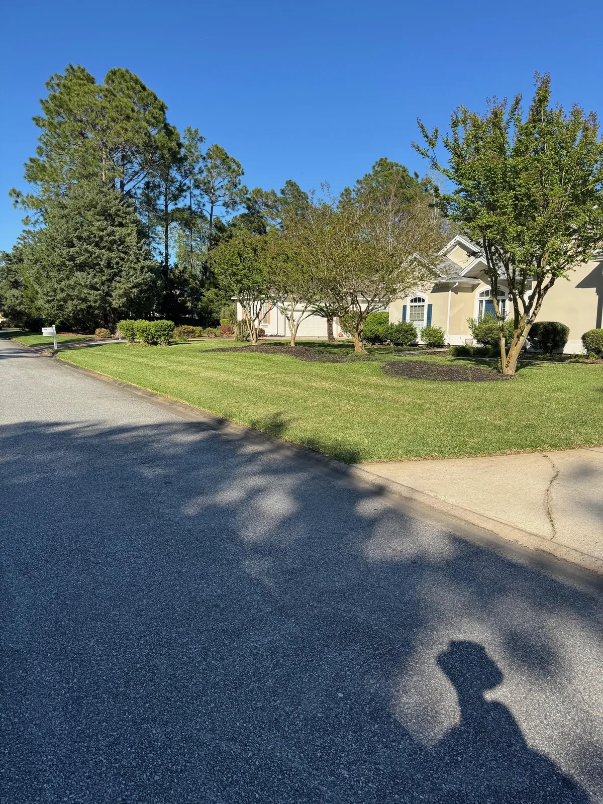 Maintained residential lawn edge beside a driveway and street